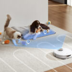 Smart Home Floor Care: Robot Vacuum and Wet Dry Vac Systems