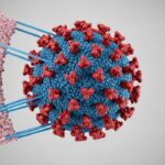 What is a Virus